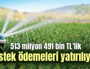 513 Milyon 491 Bin Tl’lik Destek Ödemeleri Yatırılıyor!