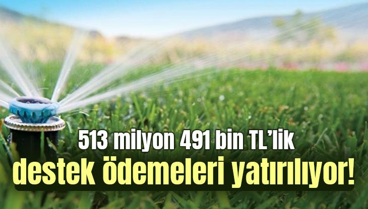 513 Milyon 491 Bin Tl’lik Destek Ödemeleri Yatırılıyor!