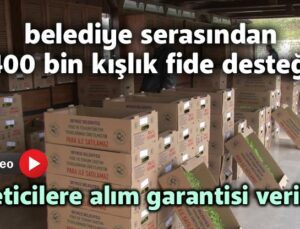 Belediye Serasından 400 Bin Kışlık Fide Desteği