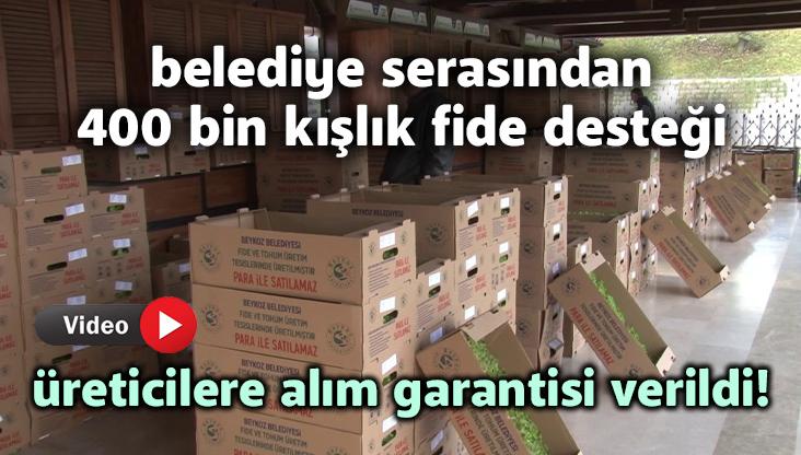 Belediye Serasından 400 Bin Kışlık Fide Desteği