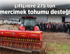 Çiftçilere 275 Ton Mercimek Tohumu Desteği