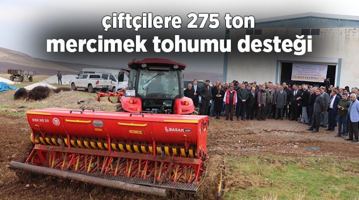 Çiftçilere 275 Ton Mercimek Tohumu Desteği