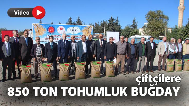 Çiftçilere 850 Ton Tohumluk Buğday