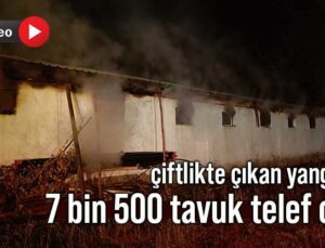 Çiftlikte Çıkan Yangında 7 Bin 500 Tavuk Telef Oldu