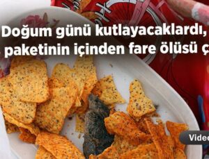 Doğum Günü Kutlayacaklardı, Cips Paketinin Içinden Fare Ölüsü Çıktı!