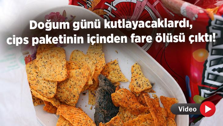 Doğum Günü Kutlayacaklardı, Cips Paketinin Içinden Fare Ölüsü Çıktı!