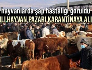 Hayvanlarda Şap Hastalığı Görüldü, Canlı Hayvan Pazarı Karantinaya Alındı