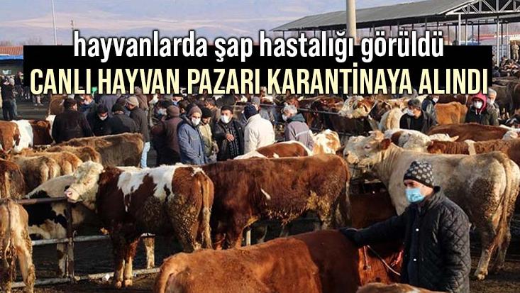 Hayvanlarda Şap Hastalığı Görüldü, Canlı Hayvan Pazarı Karantinaya Alındı