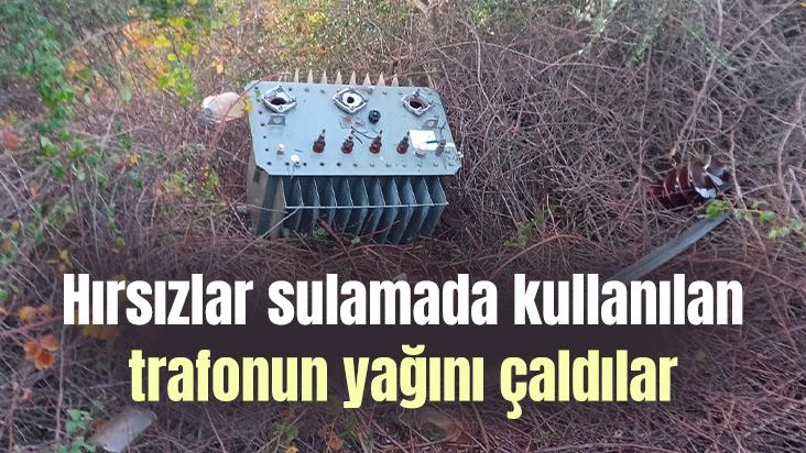 Hırsızlar Sulamada Kullanılan Trafonun Yağını Çaldılar