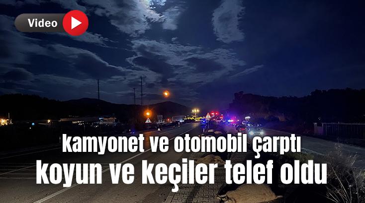 Kamyonet Ve Otomobil Çarptı Küçükbaşlar Telef Oldu