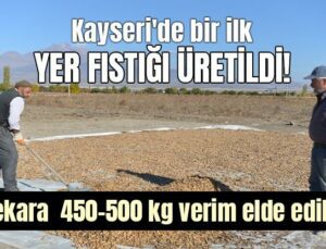 Kayseri’De Bir Ilk: Yer Fıstığı Üretildi