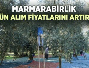 Marmarabirlik Ürün Alım Fiyatlarını Arttırdı