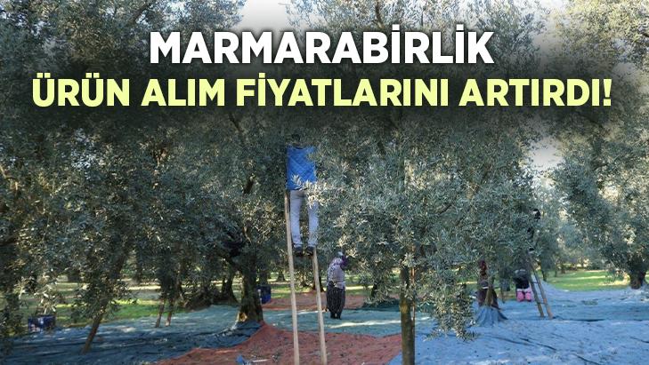 Marmarabirlik Ürün Alım Fiyatlarını Arttırdı