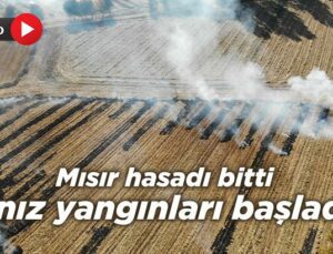 Mısır Hasadı Bitti, Anız Yangınları Başladı