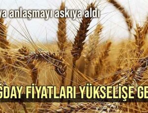 Rusya Anlaşmayı Askıya Aldı, Buğday Fiyatları Yükselişe Geçti