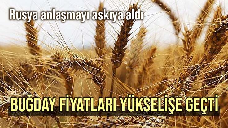 Rusya Anlaşmayı Askıya Aldı, Buğday Fiyatları Yükselişe Geçti