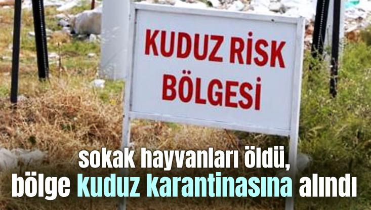 Sokak Hayvanları Öldü, Bölge Kuduz Karantinasına Alındı