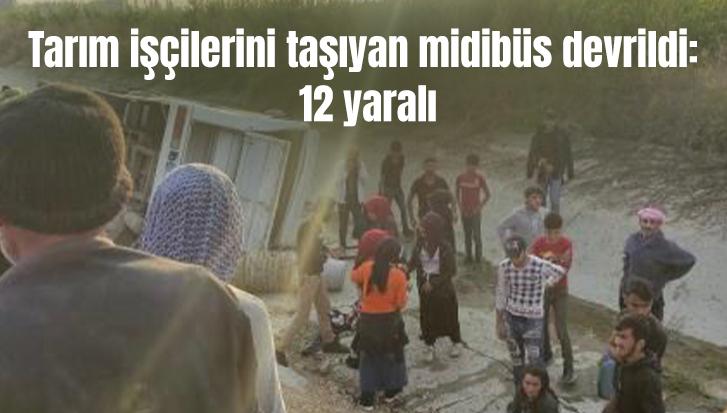 Tarım Işçilerini Taşıyan Midibüs Devrildi: 12 Yaralı