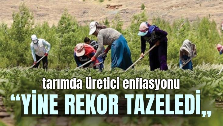 Tarımda Üretici Enflasyonu Yine Rekor Tazeledi