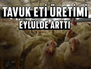 Tavuk Eti Üretimi Eylülde Arttı