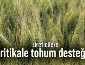 Üreticilere Tritikale Tohum Desteği