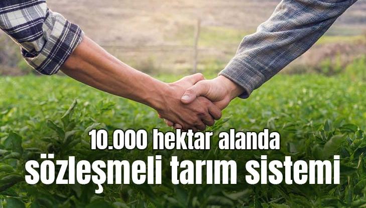 10.000 Hektar Alanda Sözleşmeli Tarım Sistemi