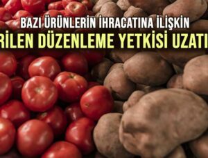 Bazı Ürünlerin Ihracatına Ilişkin Verilen Düzenleme Yetkisi Uzatıldı