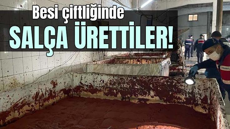 Besi Çiftliğinde Salça Ürettiler!