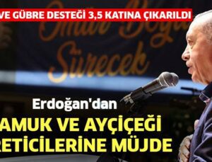 Cumhurbaşkanı Erdoğan’Dan Pamuk Ve Ayçiçeği Üreticilerine Müjde: Mazot Ve Gübre Desteği 3,5 Katına Çıkarıldı