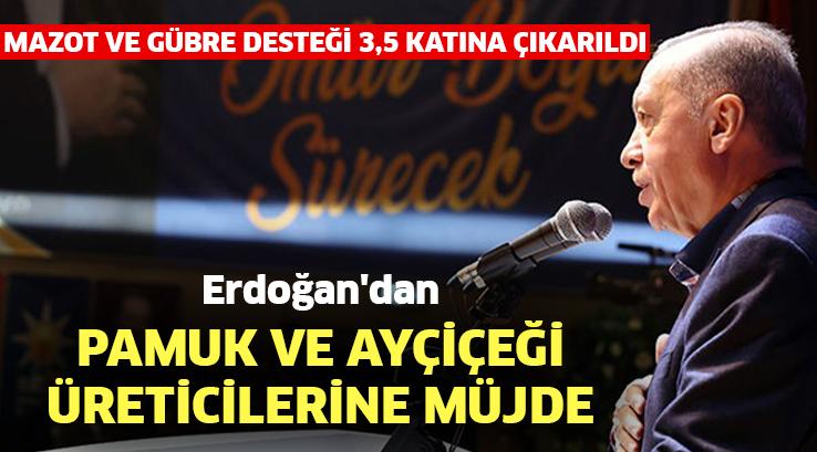 Cumhurbaşkanı Erdoğan’Dan Pamuk Ve Ayçiçeği Üreticilerine Müjde: Mazot Ve Gübre Desteği 3,5 Katına Çıkarıldı