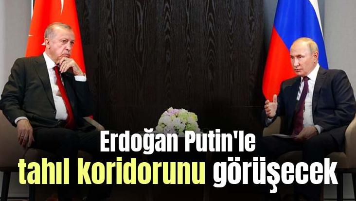 Erdoğan Putin’Le Tahıl Koridorunu Görüşecek