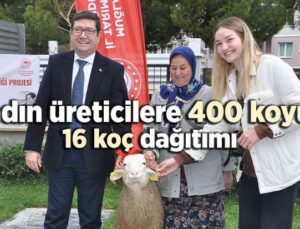 Kadın Üreticilere 400 Koyun Ve 16 Koç Dağıtımı