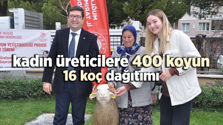 Kadın Üreticilere 400 Koyun Ve 16 Koç Dağıtımı