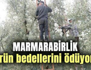 Marmarabirlik Ürün Bedellerini Ödüyor