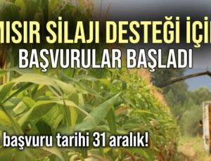 Mısır Silajı Desteği Için Başvurular Başladı