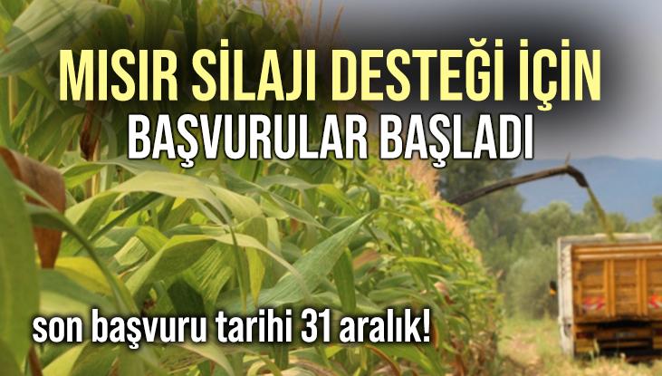 Mısır Silajı Desteği Için Başvurular Başladı