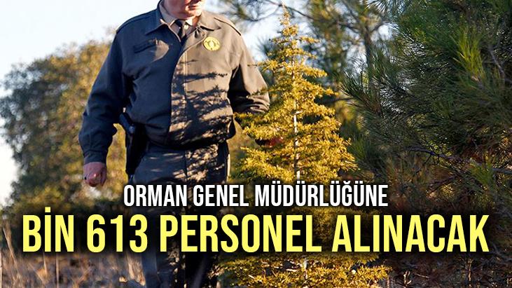 Orman Genel Müdürlüğüne Bin 613 Personel Alınacak