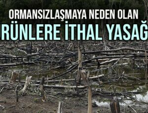 Ormansızlaşmaya Neden Olan Ürünlere Ithal Yasağı