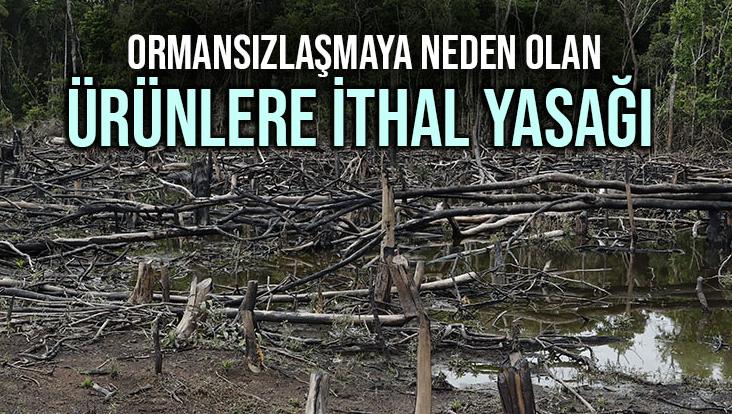 Ormansızlaşmaya Neden Olan Ürünlere Ithal Yasağı