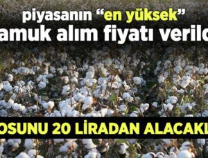 Piyasanın “En Yüksek” Pamuk Alım Fiyatı Verildi!