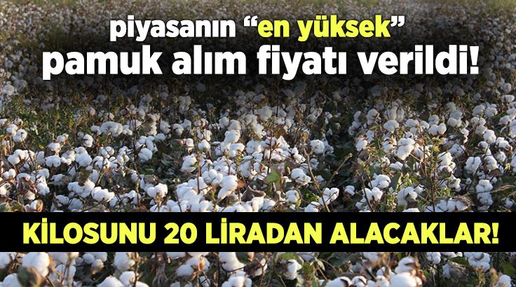 Piyasanın “En Yüksek” Pamuk Alım Fiyatı Verildi!