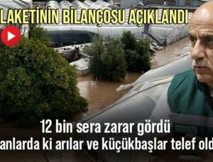 Sel Felaketinin Bilançosu Açıklandı: 12 Bin Sera Zarar Gördü