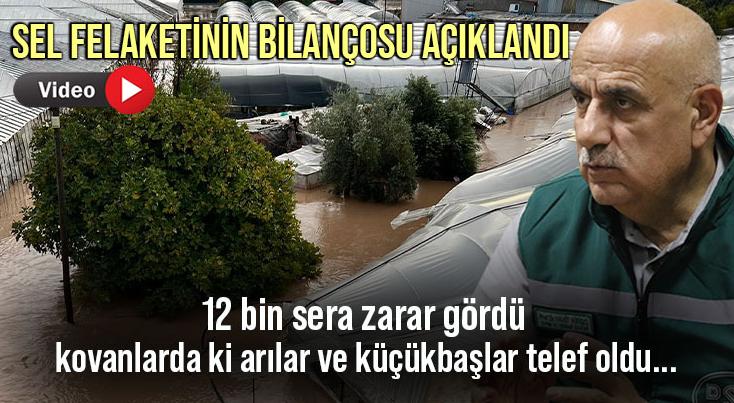 Sel Felaketinin Bilançosu Açıklandı: 12 Bin Sera Zarar Gördü