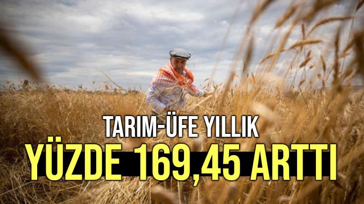 Tarım-Üfe Yıllık Yüzde 169,45 Arttı