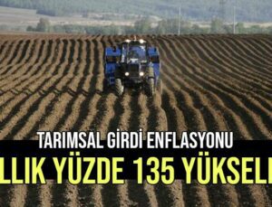 Tarımsal Girdi Enflasyonu Yıllık Yüzde 135 Yükseldi