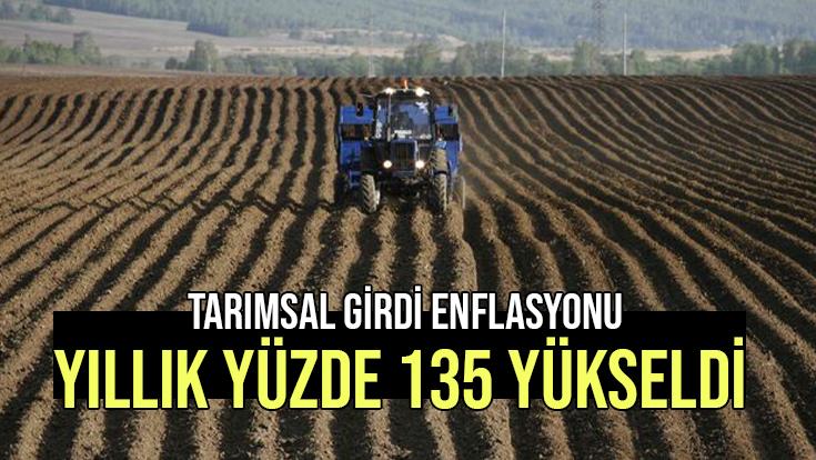 Tarımsal Girdi Enflasyonu Yıllık Yüzde 135 Yükseldi