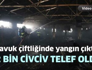 Tavuk Çiftliğinde Yangın Çıktı: 23 Bin Civciv Telef Oldu