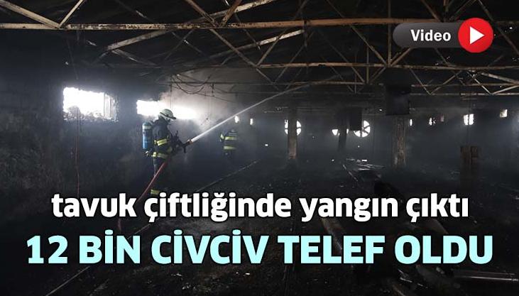 Tavuk Çiftliğinde Yangın Çıktı: 23 Bin Civciv Telef Oldu