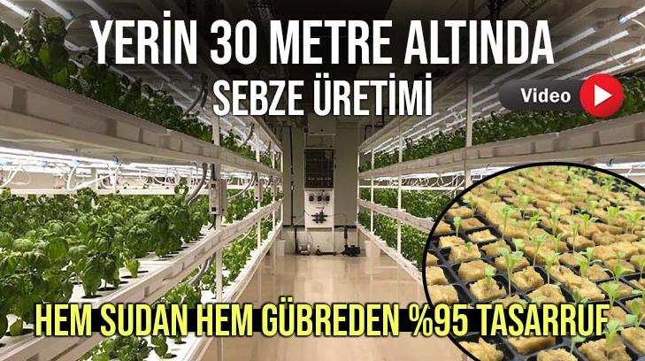 Yerin 30 Metre Altında Sebze Üretimi