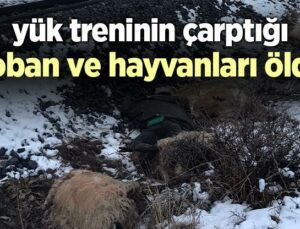 Yük Treninin Çarptığı Çoban Ve Hayvanları Öldü